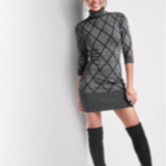 Venus Turtleneck Sweater Dress 